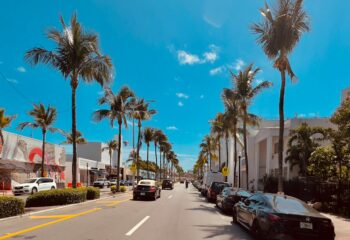 a street lined with palm trees and parked cars